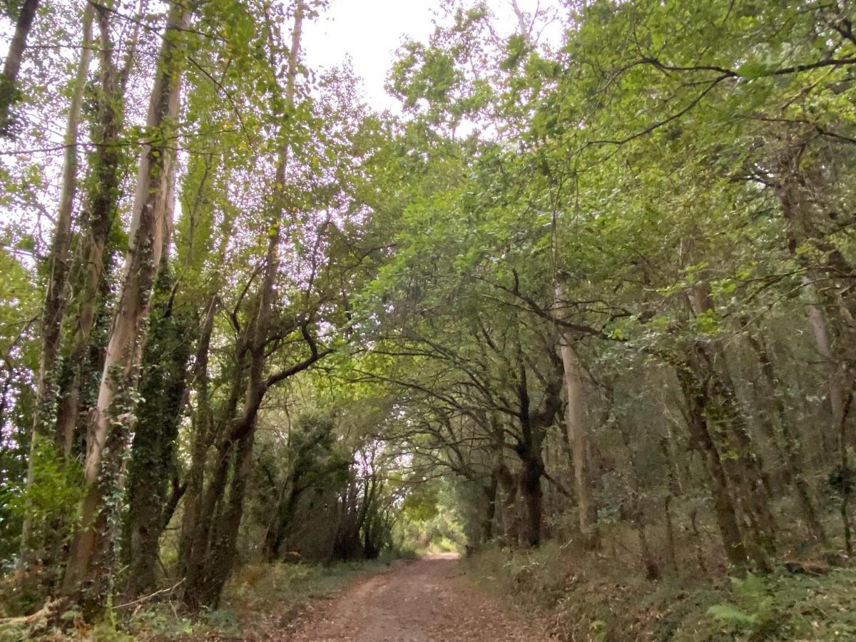 Casal De Pedra Βίλα Santa Irene Εξωτερικό φωτογραφία